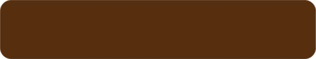 22*080 mm Yıldız Entegre YT-30D Royal Bronz Pvc Kenar Bandı